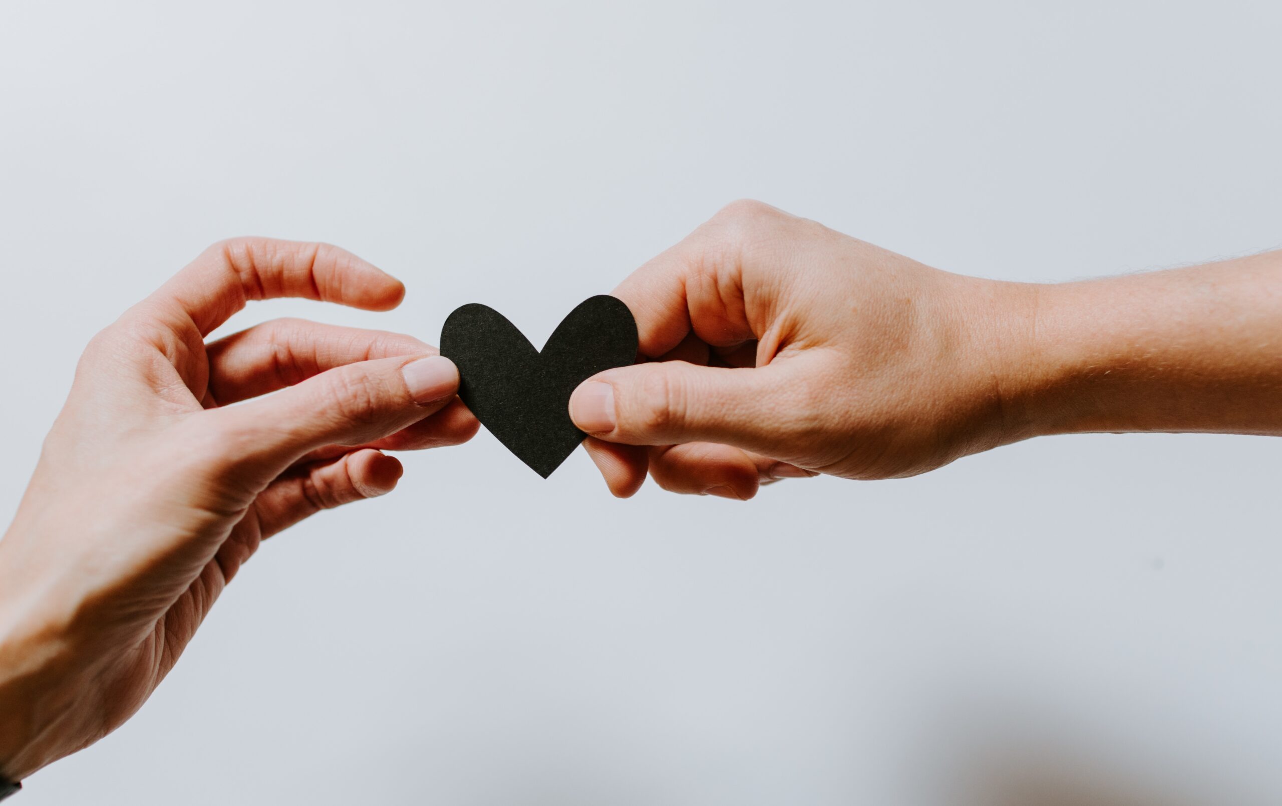kelly sikkema lekXVYjE unsplash