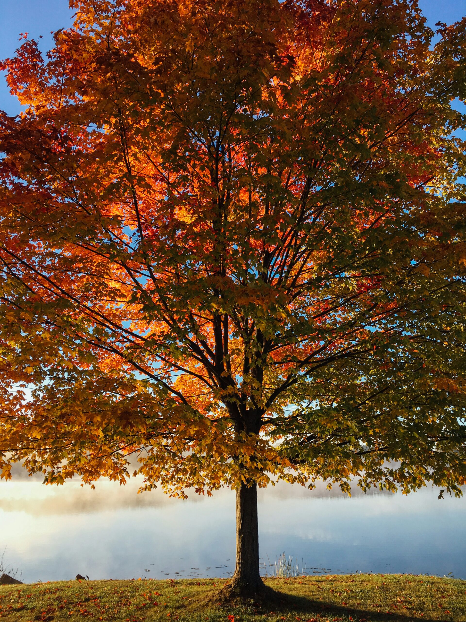 aaron burden BnrzIYMg unsplash aaron burden BnrzIYMg unsplash