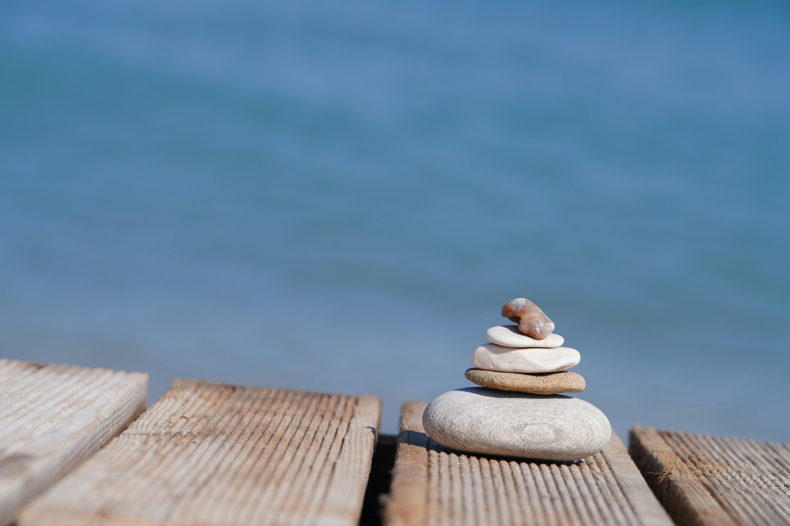 tadeusz zachwieja RgKaVPDsY unsplash tadeusz zachwieja RgKaVPDsY unsplash